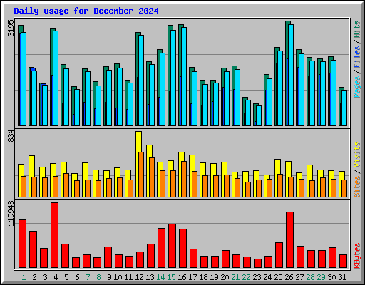 Daily usage for December 2024