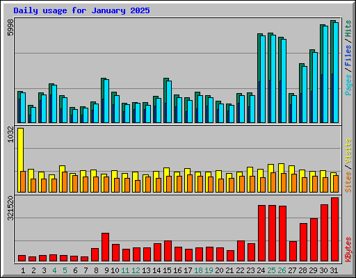Daily usage for January 2025