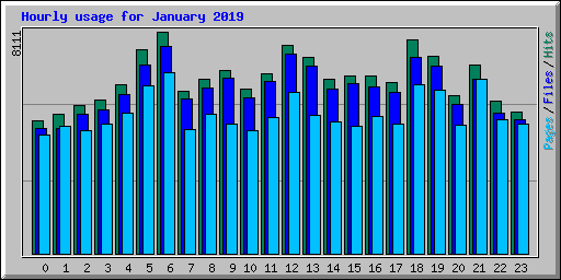Hourly usage for January 2019
