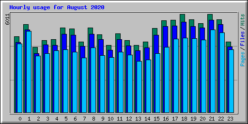 Hourly usage for August 2020
