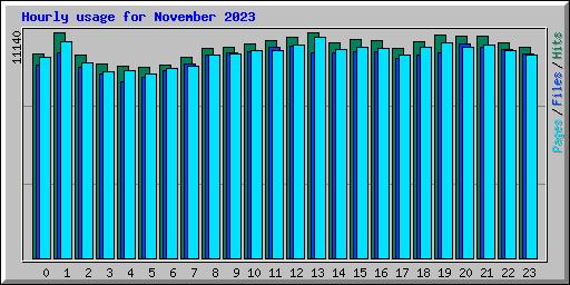 Hourly usage for November 2023