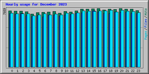 Hourly usage for December 2023