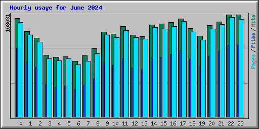 Hourly usage for June 2024