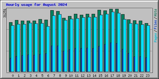 Hourly usage for August 2024