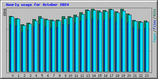 Hourly usage for October 2024