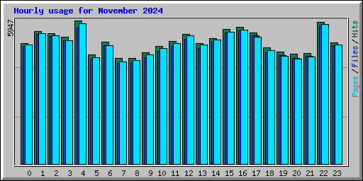 Hourly usage for November 2024