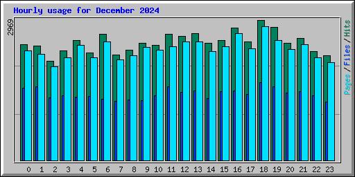 Hourly usage for December 2024