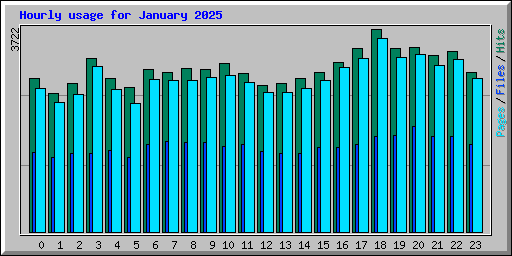 Hourly usage for January 2025
