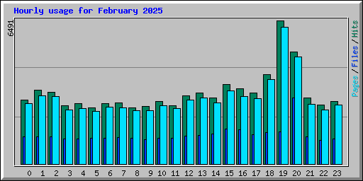Hourly usage for February 2025