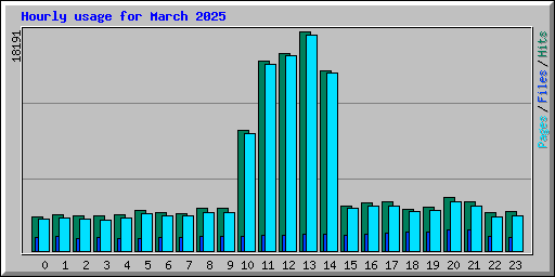 Hourly usage for March 2025