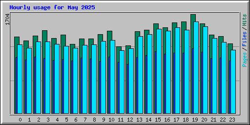 Hourly usage for May 2025