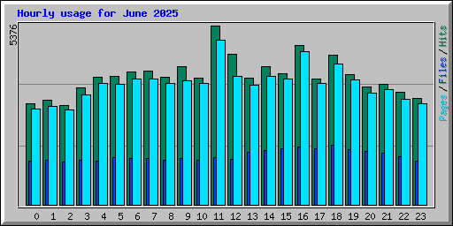 Hourly usage for June 2025