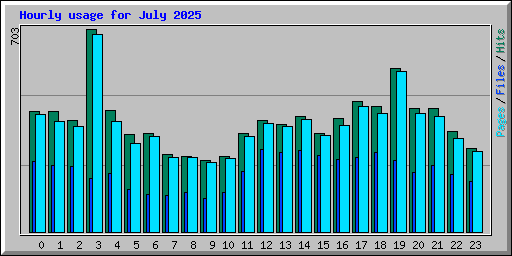 Hourly usage for July 2025