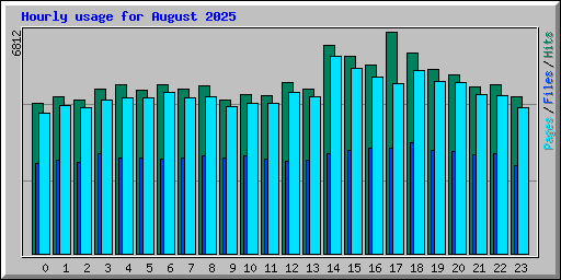 Hourly usage for August 2025