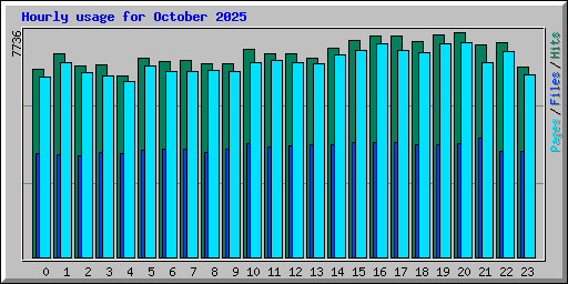 Hourly usage for October 2025