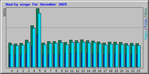 Hourly usage for December 2025