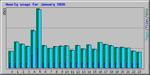 Hourly usage for January 2026