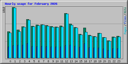 Hourly usage for February 2026