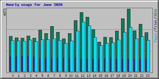 Hourly usage for June 2026